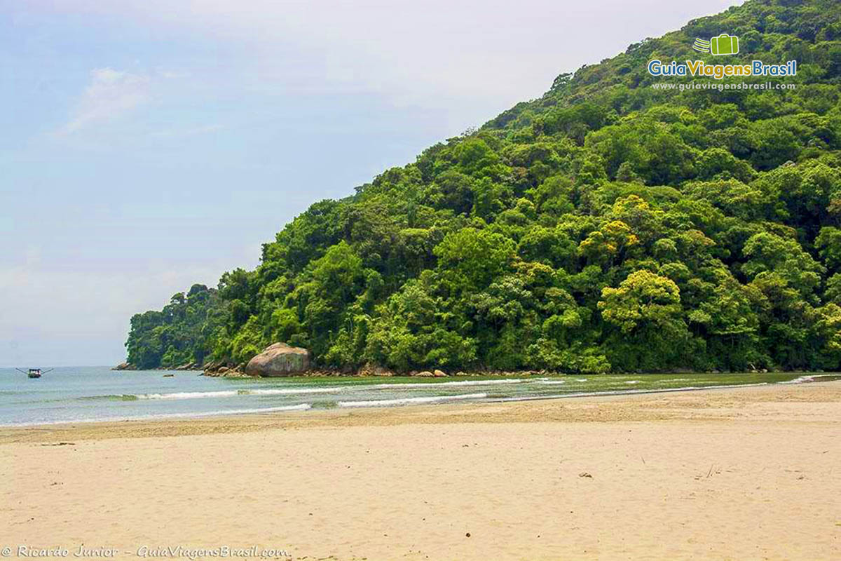Imagem da linda Praia do Perequê com vegetação no canto da praia.
