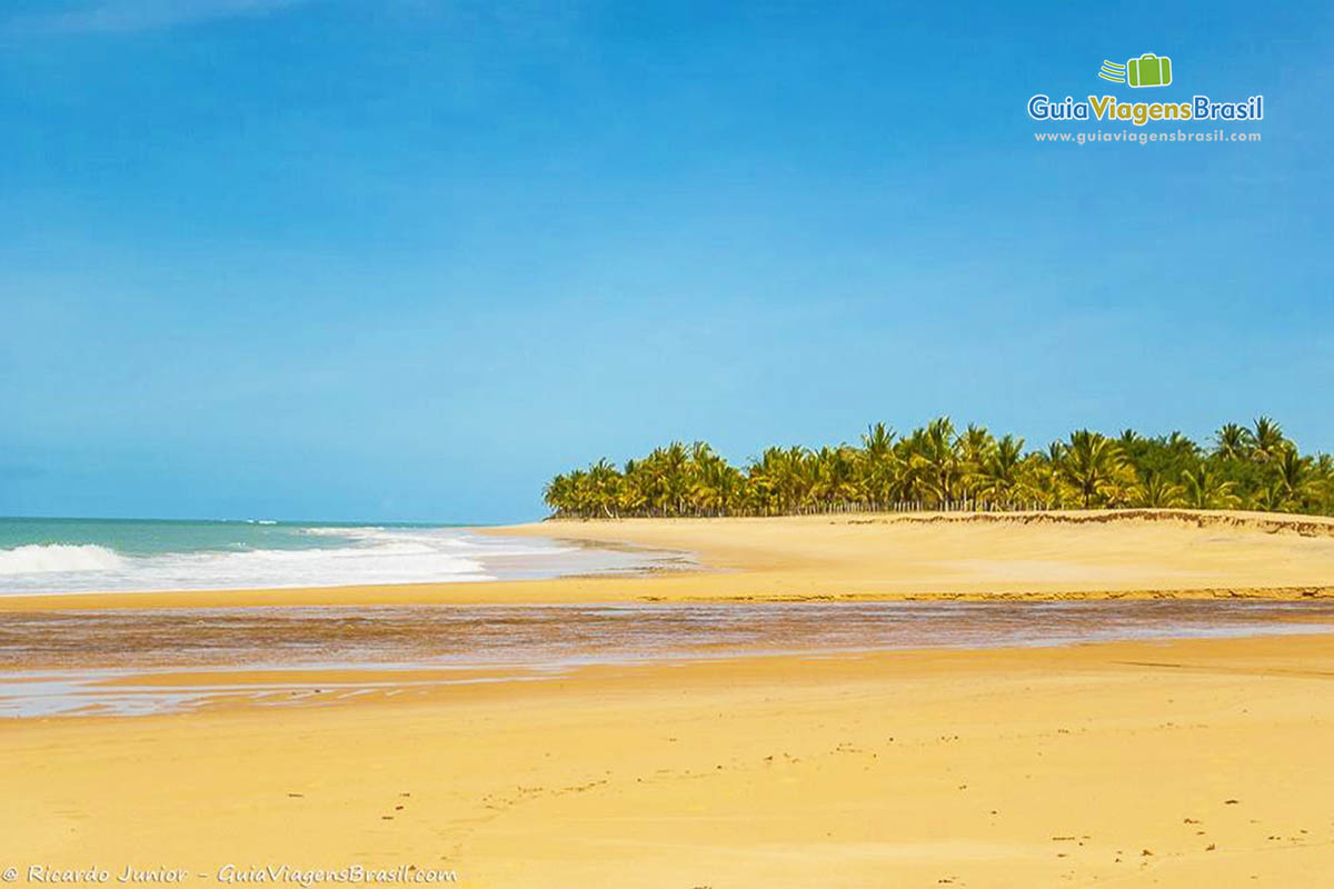 Imagem da grande faixa de areia dourada com poças de águas e ao fundo lindo mar.