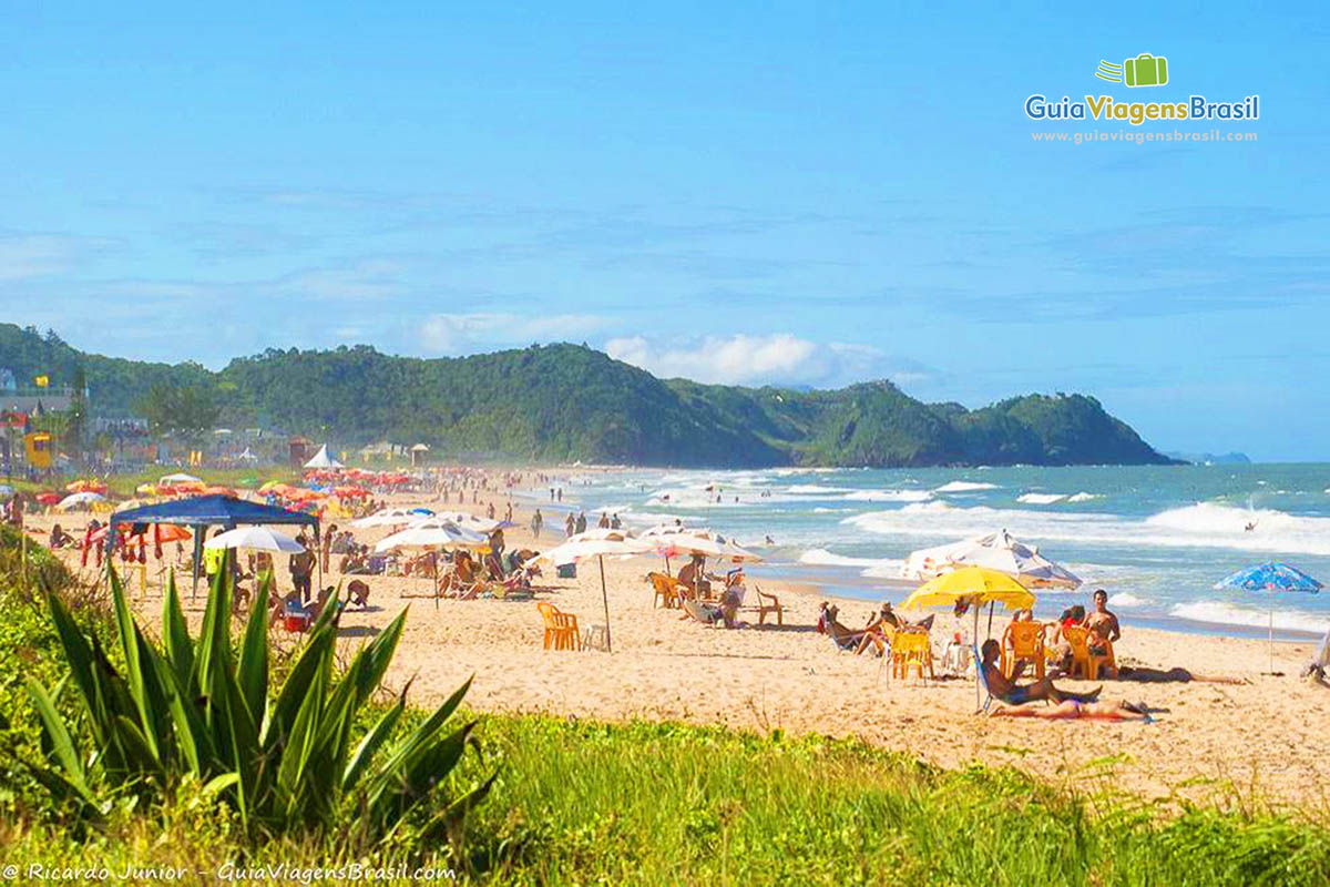 Imagem de turistas aproveitando o lindo dia na Praia dos Amores.