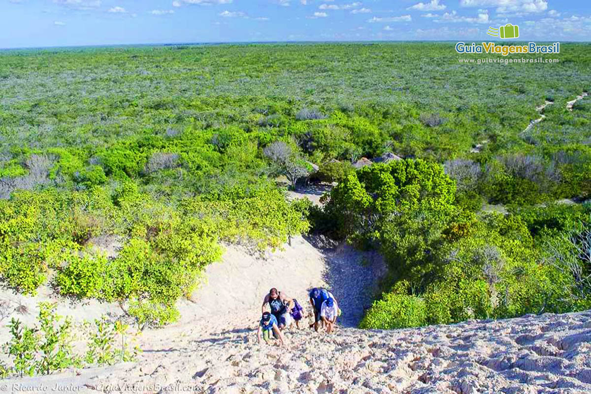 Imagem de turistas subindo o morro das dunas e ao fundo belas árvores.